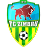 FC Zimbru