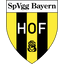 Bayern Hof