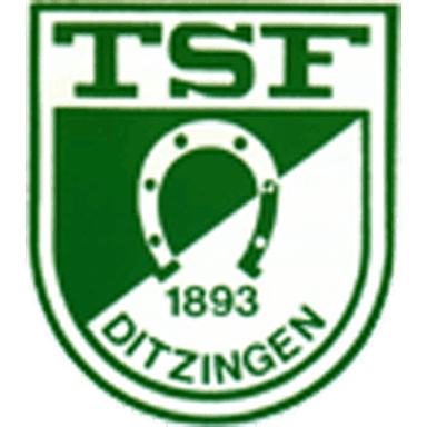 TSF Ditzingen