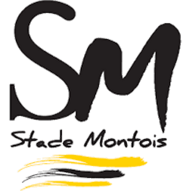 Stade Montois