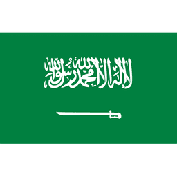 Arabia Saudita U20