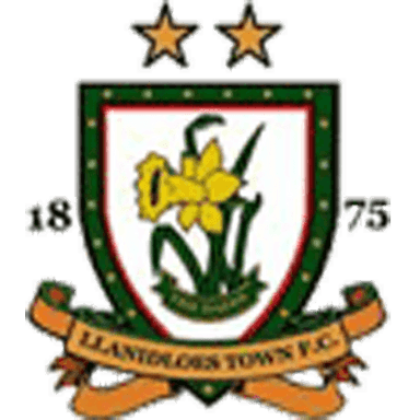 Llanidloes Town FC