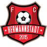 FC Hermannstadt