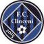 FC Clinceni