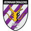 Jeonnam Dragons