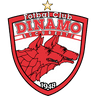 Dinamo Bucurest