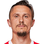 Ljubomir Fejsa