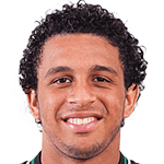 Wellington Nem