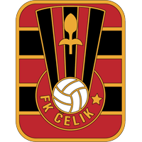 Celik logo
