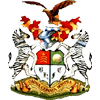 AFC Hayes logo