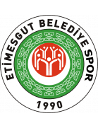 Etimesgut Belediyespor logo
