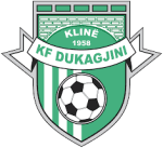 Dukagjini logo