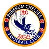 Berekum Chelsea logo
