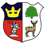Cinderford Town logo