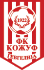 FK Kozuv Gevgelija logo