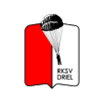 Driel logo