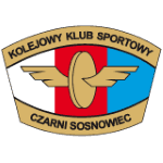 Czarni Sosnowiec W logo