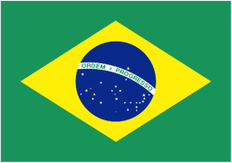 Brazil U20 logo