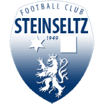 Steinseltz