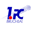 Bruchsal logo