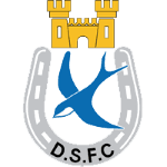 Dungannon Swifts logo