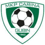 Carina Gubin logo