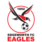 Edgeworth Eagles logo