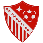 Anenii Noi W logo
