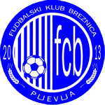 Breznica W logo