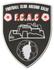 Calvi logo