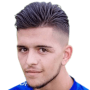 Julien Le Cardinal