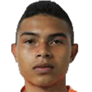 Yadir Meneses