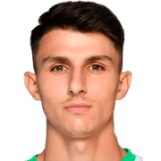 Mert-Yusuf Torlak