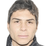 Gastón Álvarez Suárez