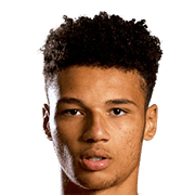 Lee Angol