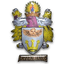 Taunton Town