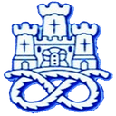 Newcastle Town