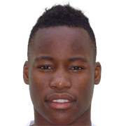 Lionnel Mpasi-Nzau