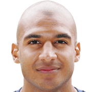 David N'Gog