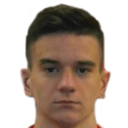Mirko Topić