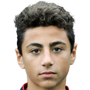 Amir Mahrous