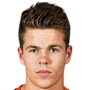Marco van Ginkel