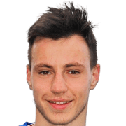 Arian Mršulja