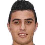 Karim Hafez
