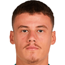 Mile Svilar