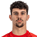 Tomás Araújo