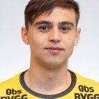 Emir Derviskadic