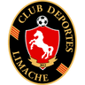 Deportes Limache